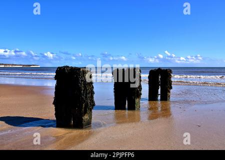 Old Groynes su Bridlington North Beach Foto Stock