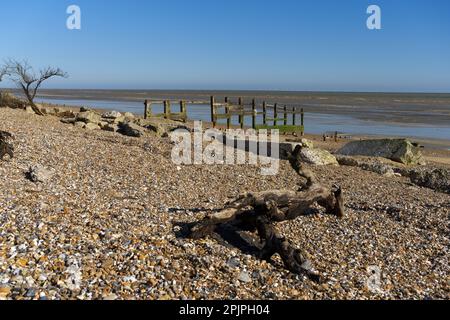 Grande legno drift sulla spiaggia di arrampicata nel Sussex occidentale con la difesa in legno danneggiato mare sullo sfondo. Foto Stock