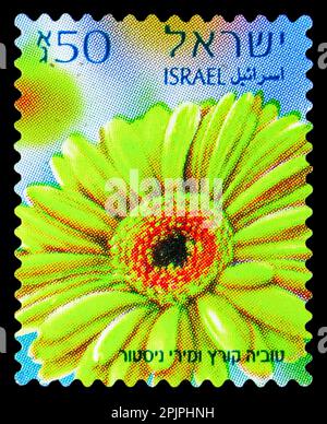 MOSCA, RUSSIA - 26 MARZO 2023: Francobollo stampato in Israele mostra Gerberas, serie, circa 2013 Foto Stock