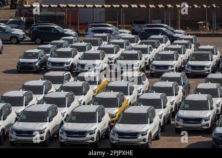 Eilat, israele - 25 novembre 2022: Alto angolo di molte moderne auto bianche identiche parcheggiate su strada asfaltata in fabbrica industriale per la vendita made in Israel Foto Stock