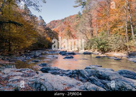 Vista panoramica del Big Laurel Creek nel North Carolina in autunno Foto Stock