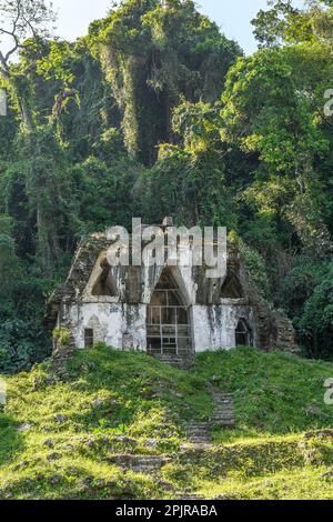 L'antico Tempio Maya della Croce Foliata, Palenque, Chiapas, Yucatán, Messico Foto Stock