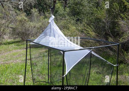 Una trappola per malessere, un tipo di trappola per tenda utilizzata per la raccolta di insetti volanti da entomologi. Questo si trova a Oak Savannah in California. Foto Stock