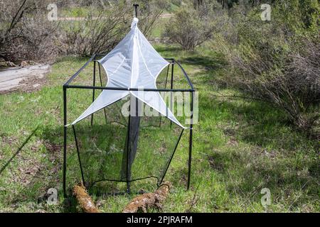 Una trappola per malessere, un tipo di trappola per tenda utilizzata per la raccolta di insetti volanti da entomologi. Questo si trova a Oak Savannah in California. Foto Stock