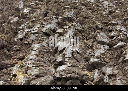 Close-up di solchi nel nuovo campo arato, Svezia, autunno Foto Stock