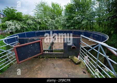 Laguna slurry in una fattoria circondata da cespugli di biancospino, Cumbria, Inghilterra, Regno Unito Foto Stock