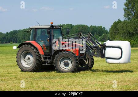 Trattore Massey Ferguson 6290 con caricatore meccanico per il trasporto di balle rotonde insilate in plastica, Svezia Foto Stock