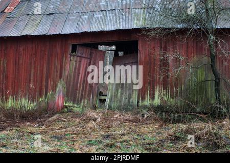 Fienile rosso abbandonato, tetto in ferro ondulato, Svezia Foto Stock