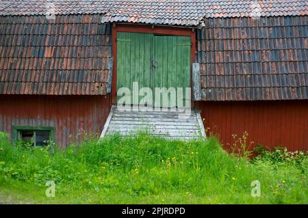 Vecchie porte fienile, Jormvattnet, Jammtland, Svezia Foto Stock