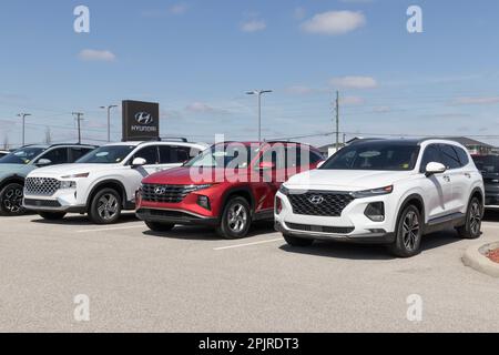 Avon - circa Aprile 2023: Hyundai mostra auto usate presso una concessionaria. Con problemi di offerta, Hyundai si affida alle vendite di veicoli usati per soddisfare la domanda. Foto Stock