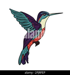 Hummingbird volando uccello in tecnica doodle illustrazione vettoriale Illustrazione Vettoriale