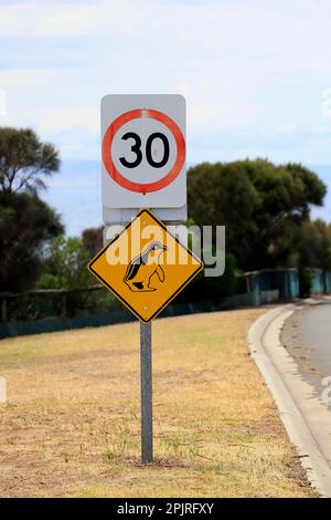 Segnaletica stradale, pinguino, pinguino pigmy, Kangaroo Island, Australia Meridionale, Australia Foto Stock