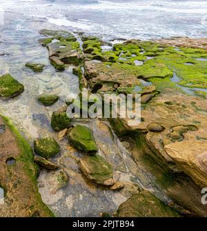 Piscine di marea sulle rive di la Jolla Cove, la Jolla, California, Stati Uniti Foto Stock