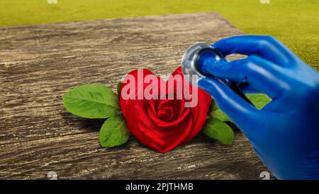 Rosa con forma a cuore e stetoscopio. Concetto di giornata mondiale dell'ipertensione Foto Stock