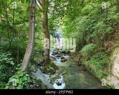 Una tranquilla e idilliaca scena di un ruscello che scorre attraverso una lussureggiante foresta verde, circondato da alti alberi e grandi rocce Foto Stock