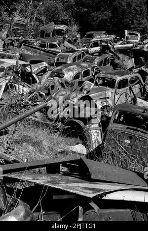 Auto d'epoca arrugginite all'esterno a Horopito Auto Wreckers - Smash Palace. Isola del Nord, Nuova Zelanda. Fotografia in bianco e nero. Foto Stock