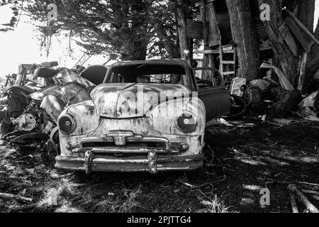 Auto d'epoca arrugginita all'esterno a Horopito Auto Wreckers - Smash Palace. Isola del Nord, Nuova Zelanda. Fotografia in bianco e nero. Foto Stock