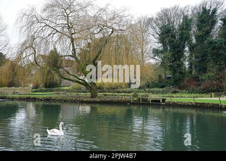 Esterno architettura di campagna e design di edifici europei presso la fattoria Bibury Trout nel villaggio di Cotswold, Inghilterra, Regno Unito Foto Stock