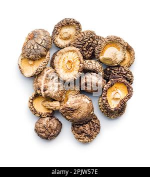 Funghi shiitake secchi isolati su sfondo bianco. Foto Stock