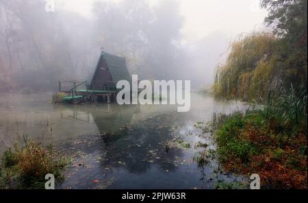 Mistica palude con alberi con un riflesso in acqua in una mattina nebbia. Foto Stock