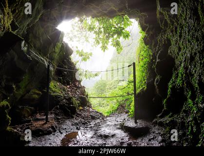 Tunnel a Madeira su sentiero a piedi, Levada Caldeirao Verde Foto Stock