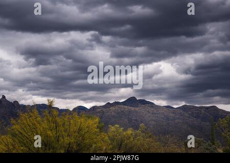 Una splendida vista sulle montagne della Catalina, situata a Tucson, Arizona Foto Stock