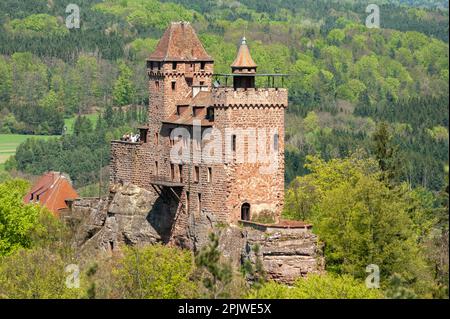 Castello di Berwartstein nel paesaggio del Parco Naturale della Foresta di Palatinato, Erlenbach, Palatinato, Renania-Palatinato, Germania, Europa Foto Stock