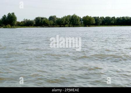 Natura selvaggia e acquatica nell'ecosistema del delta del Danubio: Il delta del Danubio è il secondo più grande e meglio conservato dei delta europei. Foto Stock