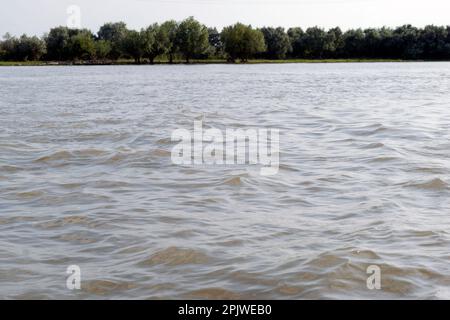 Natura selvaggia e acquatica nell'ecosistema del delta del Danubio: Il delta del Danubio è il secondo più grande e meglio conservato dei delta europei. Foto Stock