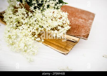 Viaggi spirituali con un libro di incantesimi di auto-cura con ricette per saloni termali a base di succo di sambuco. Fiori di sambuco su un backgroun di legno bianco Foto Stock