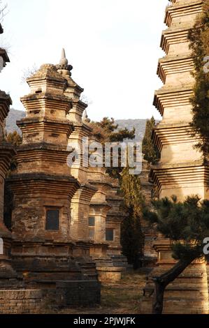 Il Tempio di Shaolin, centro di addestramento delle arti marziali. La Foresta delle Pagodas, cimitero dei monaci illustri. Henan, Song Shan Mountain, Cina Foto Stock