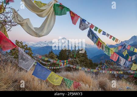 Monte Dhaulagiri dalla cima della collina di Poon. Himalaya. Nepal Foto Stock