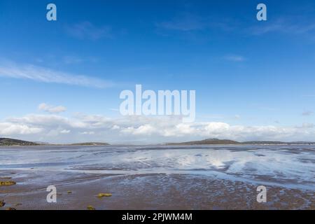 Saltmarsh litorale a Grange Over Sands, Morecambe Bay, Cumbria, Lake District, UK Foto Stock