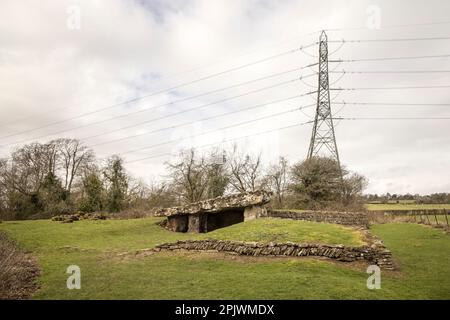 Camera di sepoltura di Tinkinswood, Neolitico dolmen Wales, 6000 anni, Regno Unito, oscurata da pilone Foto Stock