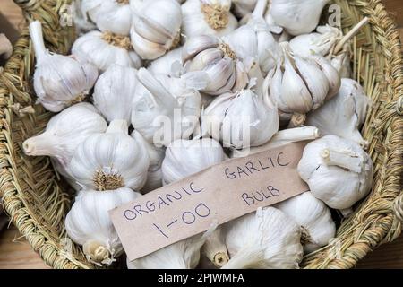 Bulbi organici all'aglio in vendita su stalla di mercato, Abergavenny, Galles, Regno Unito Foto Stock