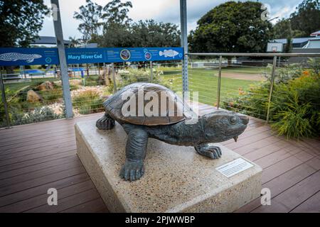 Scultura di Mary River Turtle in pericolo, Taro, Queensland Australia Foto Stock