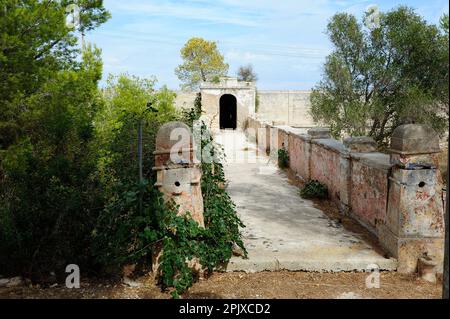 Pianosa, un'isola dell'Arcipelago Toscano, sede di una prigione fino al 2011, oggi una Riserva Naturale accoglie un massimo di 250 visitatori al giorno. Pianosa; T Foto Stock
