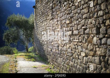 Notre Dame du Mont, Breil sur Roya, Vallee de la Roya, Parc National du Mercantour, Alpes Maritimes, 06, Cote d'Azur, Francia Foto Stock