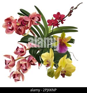 Bouquet acquerello di orchidee. Fiori realistici di cimbidium, phalaenopsis e paphiopedilum Foto Stock