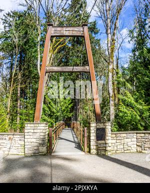 Una vista o una passeggiata sospensione brdige al Bellevue Botanical Garden nello Stato di Washington. Foto Stock