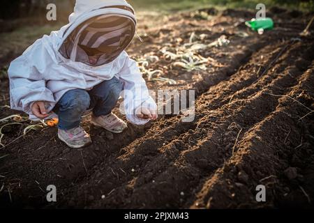 Bellezza della natura e gioie del giardinaggio. il bambino nutre la crescita di piselli freschi e biologici in terreno fertile di giardino Foto Stock