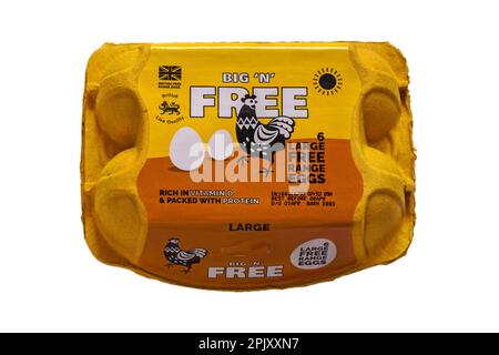 Cartone di uova Big 'n' Free 6 Large Free Range ricche di vitamina D e confezionate con proteine isolate su fondo bianco scatola uovo chiusa, scatola uovo Foto Stock