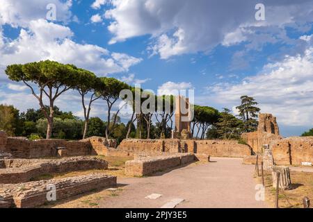 Antiche rovine romane e linea di pini di pietra sul colle Palatino a Roma, Lazio, Italia. Foto Stock