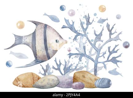 Pesce sottomarino con barriere coralline e fondali marini. Acquerello disegnato a mano che mostra il pavimento del mare su sfondo isolato. Alghe sottomarine e pietre nei colori beige e blu per la clipart. Disegno nautico. Foto Stock