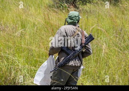 Rangers armati di armi nel parco di conservazione degli animali in Zimbabwe, in Rhino di Ispire & Wildlife Conservancy Foto Stock