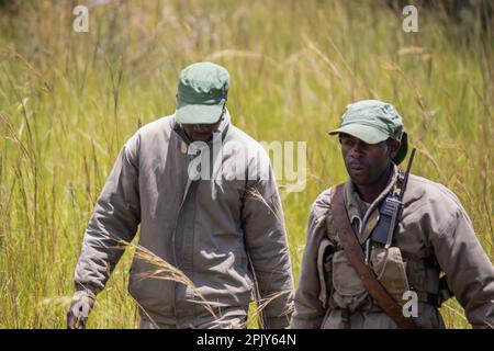 Rangers armati di armi nel parco di conservazione degli animali in Zimbabwe, in Rhino di Ispire & Wildlife Conservancy Foto Stock