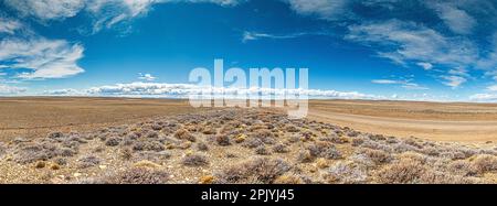 Vista panoramica sulla steppa argentina vicino al Lago Argentino durante il giorno in estate Foto Stock