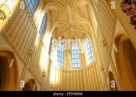 La Chiesa dell'Assunzione di nostra Signora e San Giovanni Battista nella città di Kutná Hora, Repubblica Ceca Foto Stock