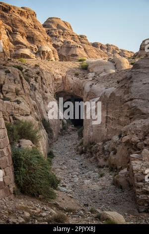 Una delle molte grotte storiche intagliate a mano nella valle di Petra. Giordania. Foto Stock