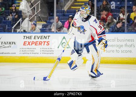 Bridgeport, Connecticut, Stati Uniti. 4th Apr, 2023. Springfield Thunderbirds Joel Hofer (30) pattina durante una partita della American Hockey League contro i Bridgeport Islanders alla Total Mortgage Arena a Bridgeport, Connecticut. Rusty Jones/Cal Sport Media/Alamy Live News Foto Stock